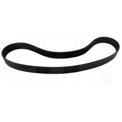 1003725 - Belt Serpentine