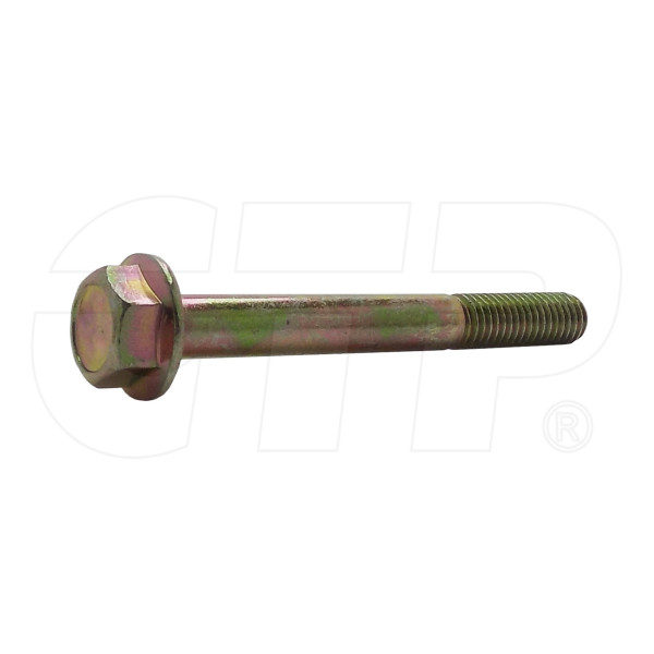 1003751 - Bolt Flange Head