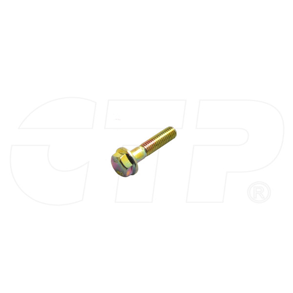 1013895 - Bolt Flange Head