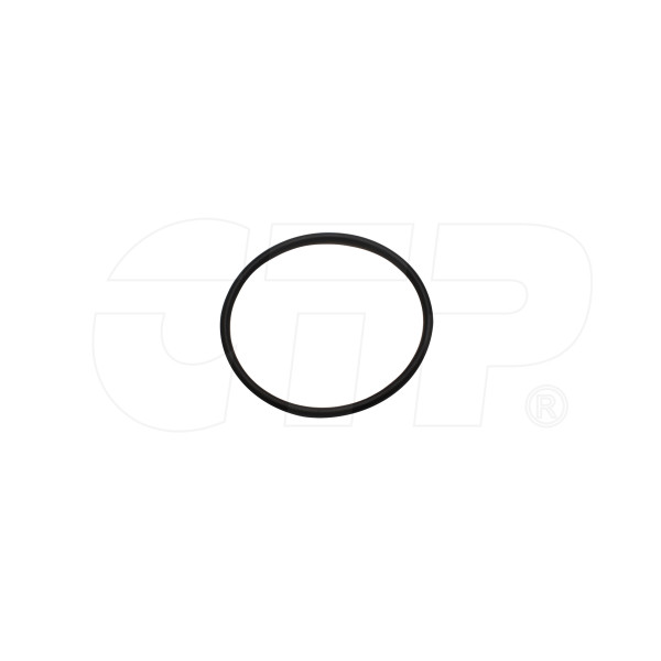 Seal O Ring 1013953