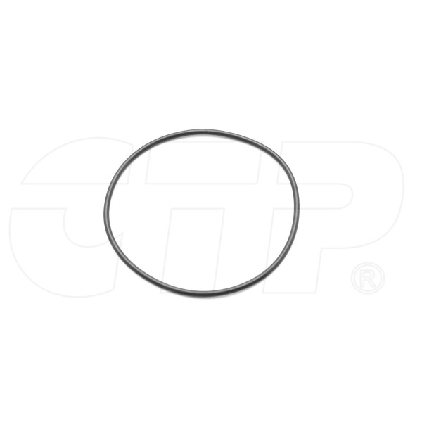 1022073 - Seal O Ring