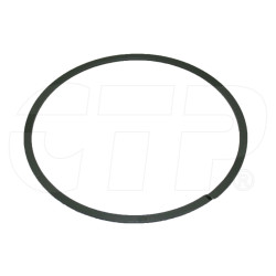 1079308 - Ring Backup