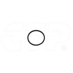 1079570 - Seal O Ring