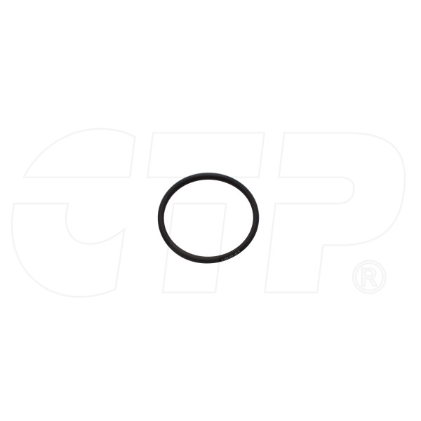 1079570 - Seal O Ring