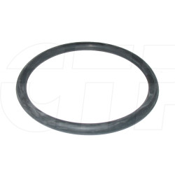 1079976 - Seal O Ring