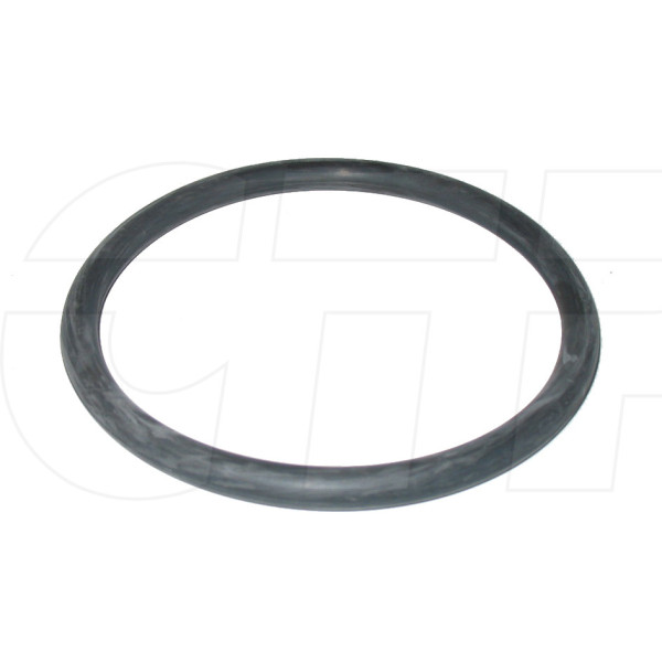 1079976 - Seal O Ring