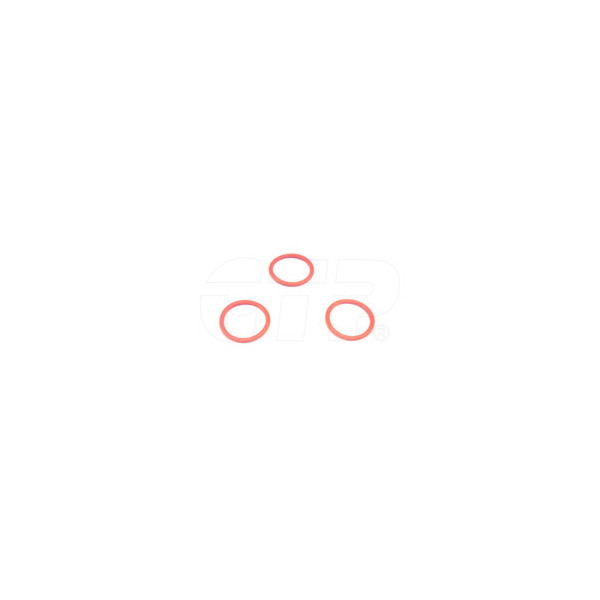 Seal O Ring 1090073