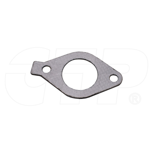 1095313 - Gasket-ctp