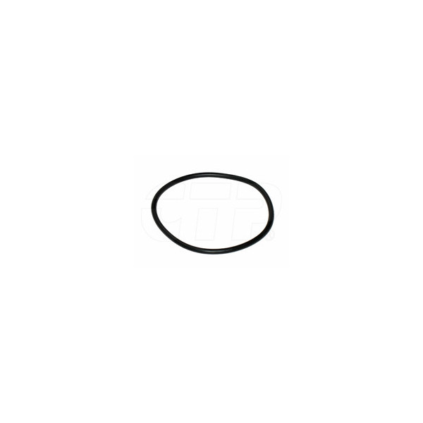 1121580 - Seal O Ring