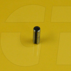 1124511 - Pin-spring