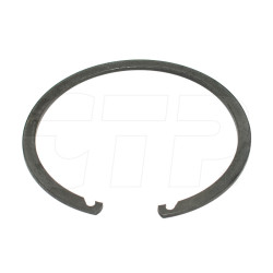 1179748 - Ring-retaining