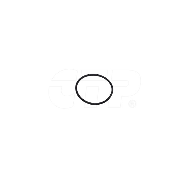 1183128 - Seal O Ring