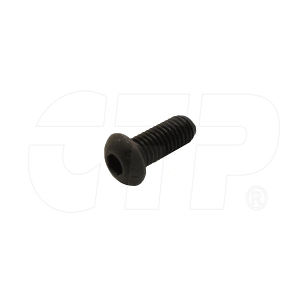 1272170 - Screw Truss Head