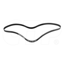 1293574 - Serpentine Belt