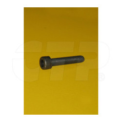 1395925 - Bolt-socket Head