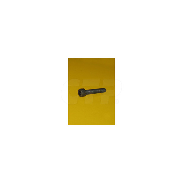 1395925 - Bolt-socket Head