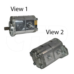 1597181 - Pump Gp-gear