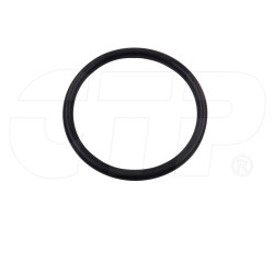 1606631 - Ring-toric