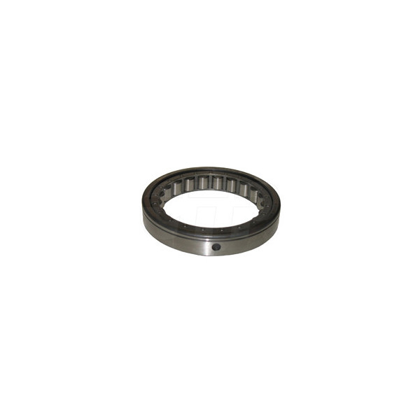 Roller A - Outer Race 5D6659