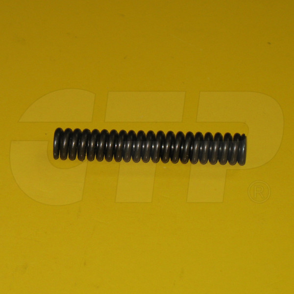 5J9104 - Spring In