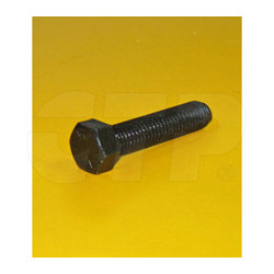 5L4398 - Bolt
