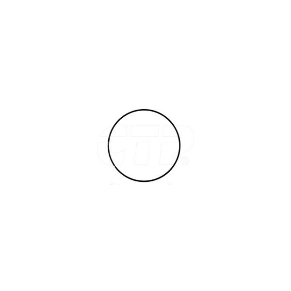 5M6141 - Ring Sealing