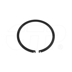 5P1981 - Ring-retaining