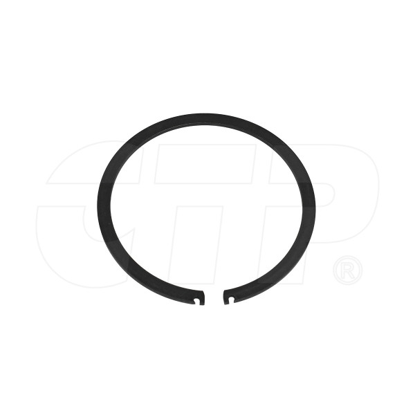 5P1981 - Ring-retaining