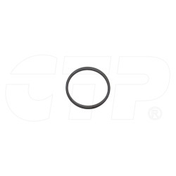 5P2199 - Ring Backup