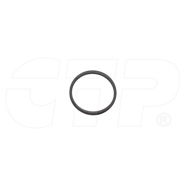 5P2199 - Ring Backup