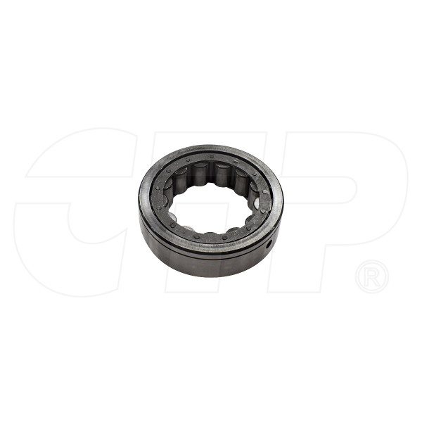 Roller Brg 5P5066