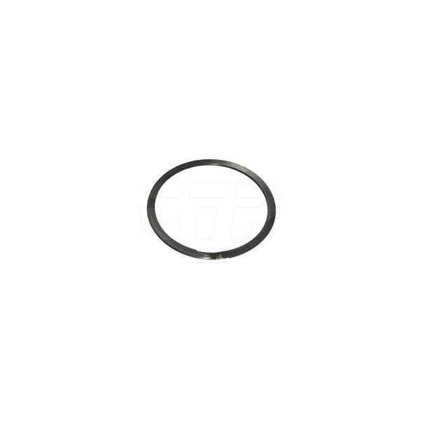 5P6393 - Ring-retaining
