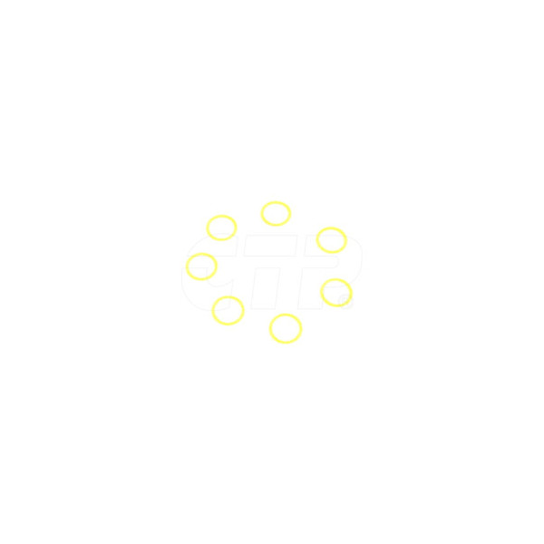 Seal O Ring 5P6620