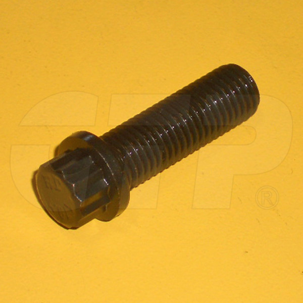 5P6900 - Bolt-12 Point