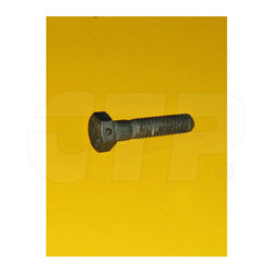 5P6945 - Hex Cap Screw