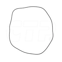 Seal O Ring 5P9519