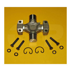 5Y0154 - Spider A