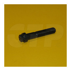 2346681 - Bolt-12 Point