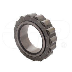 2405920 - Bearing-special