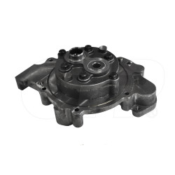 2418693 - Pump Gp-gear