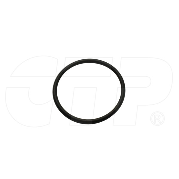 Seal O Ring 2456014