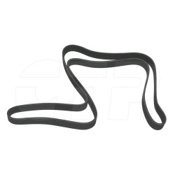2486195 - Serpentine Belt