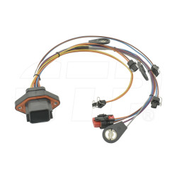 2490093 - Harness As