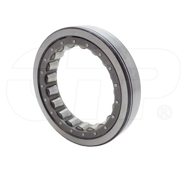 2500839 - Bearing-cylindrical Roller