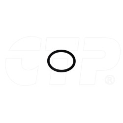 Seal O Ring 2502343