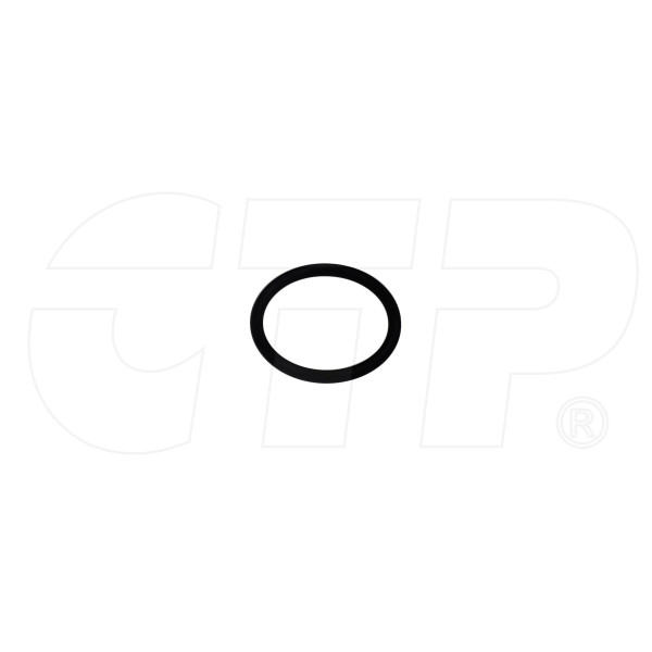 Seal O Ring 2502343