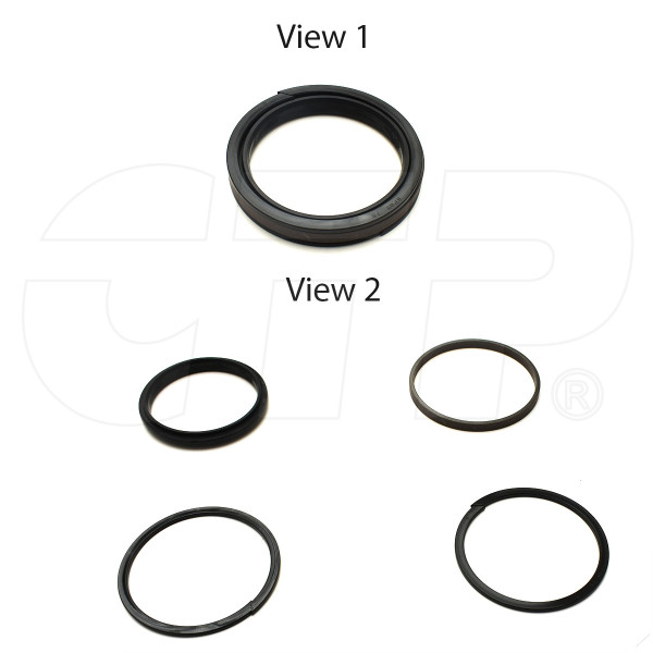 Seal Asm 2508729