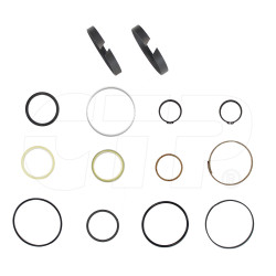 2519341 - Seal Kit