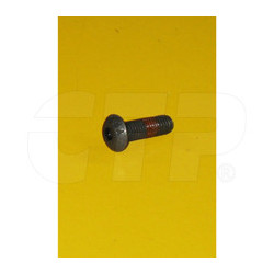 2533982 - Screw