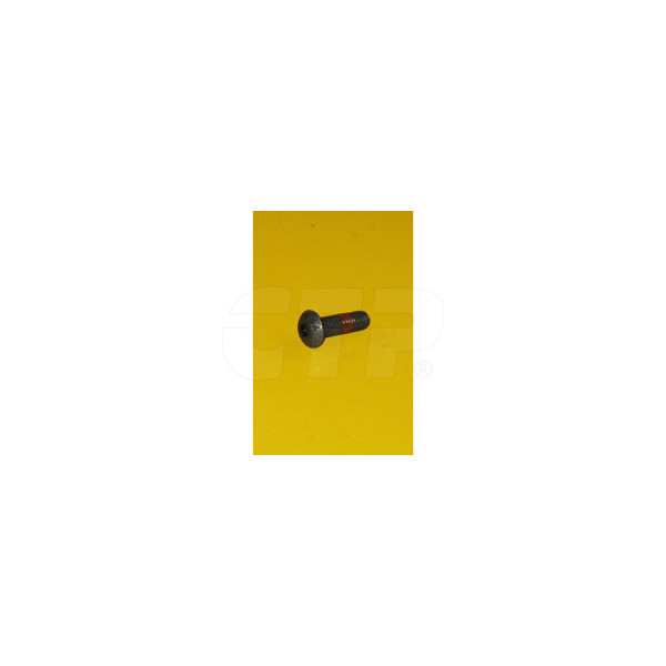 2533982 - Screw